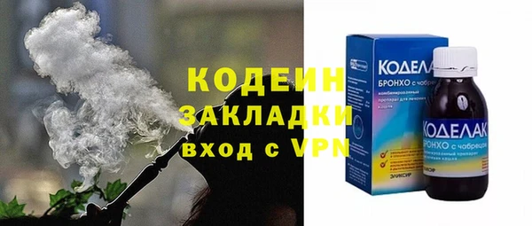 сатива Верея