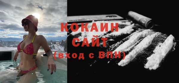 сатива Верея
