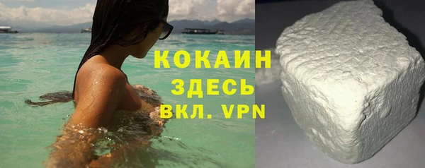 сатива Верея
