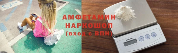 сатива Верея