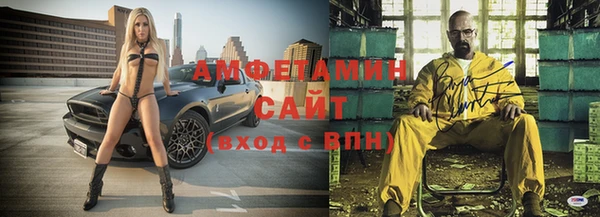 сатива Верея
