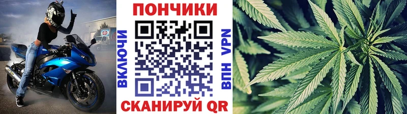 Конопля ГИДРОПОН  Горбатов 